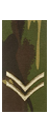 Rank and Structure Corporal-2