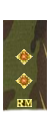 Rank and Structure Lieutenant-2