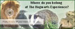 Advertising The Hogwarts Experience Adbanner2