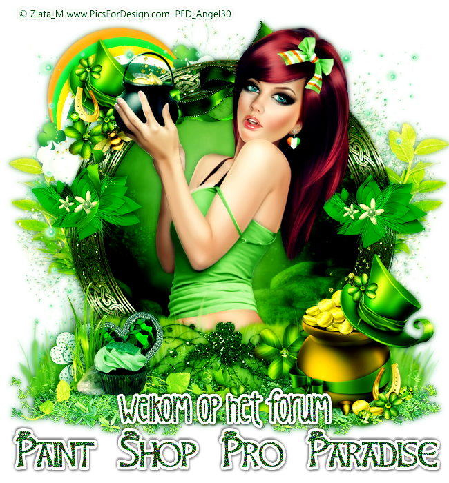 Testforum Paint shop pro paradise