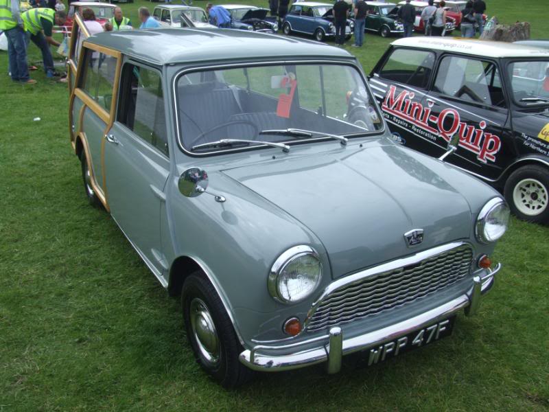 (r) Donard Park Mini Show 2009 129