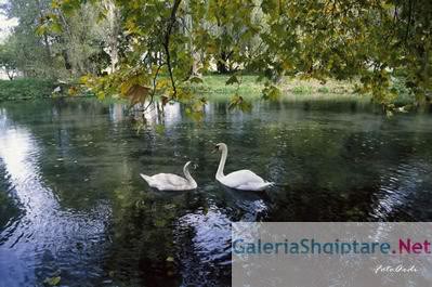 Te njihemi me natyren dhe bukurite shqiptare _drilonpogradec