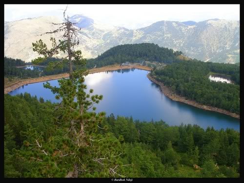 Te njihemi me natyren dhe bukurite shqiptare Liqniilures