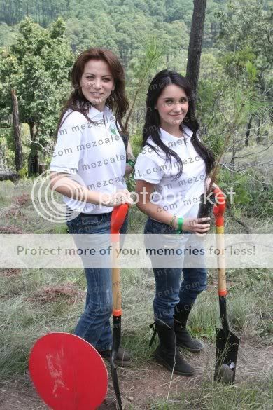 Dulce Maria [1] - Page 11 D174-1