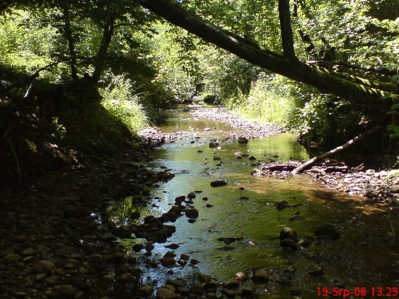 Moje slikice DSC01423