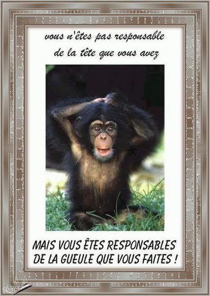 Transformation d'images de MarcelleCanada ~ humour Graphisme-marcelle-2