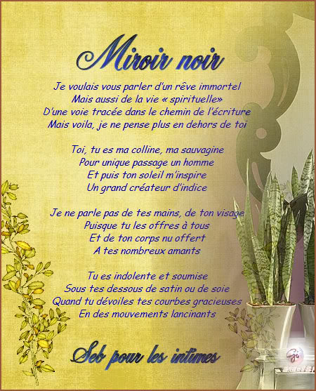 Miroir Noir Poeme-de-seb-1