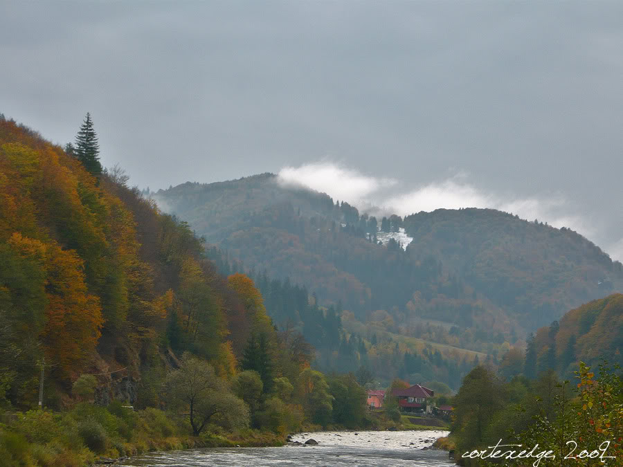 M 400 : Brasov - Miercurea Ciuc - Deda - Baia Mare - Satu Mare - Pagina 2 P1240169