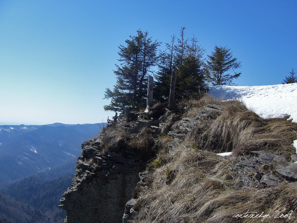 PEISAJE MONTANE P1050645