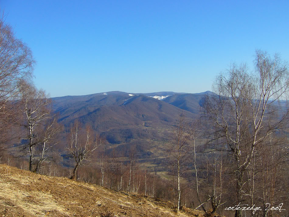 PEISAJE MONTANE P1050735