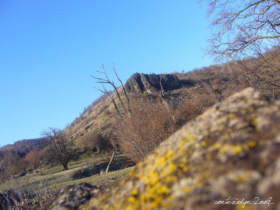 PEISAJE MONTANE P1050764