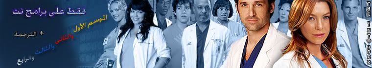 grey's anatomy season 1,2,3et 4 24440