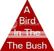 Here are some cool illusions to confuzzle you guyz.. Birdinthebush1