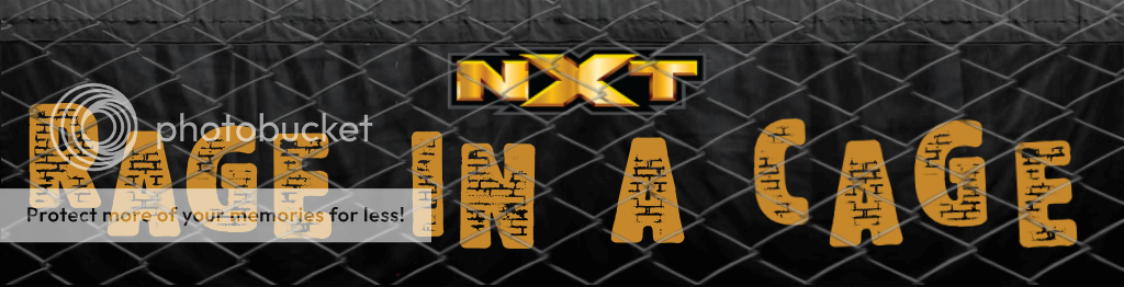 Sneak Peak at the NXT Pay-Per-View Ring Skirts! Rage%20in%20a%20cage