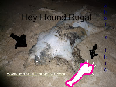 umm is this the real rugal? Montauk-monster-part-two-tn