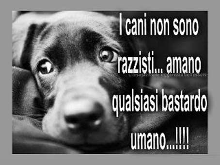 Il Pianeta è di tutti!!! - Pagina 22 Cane_frase