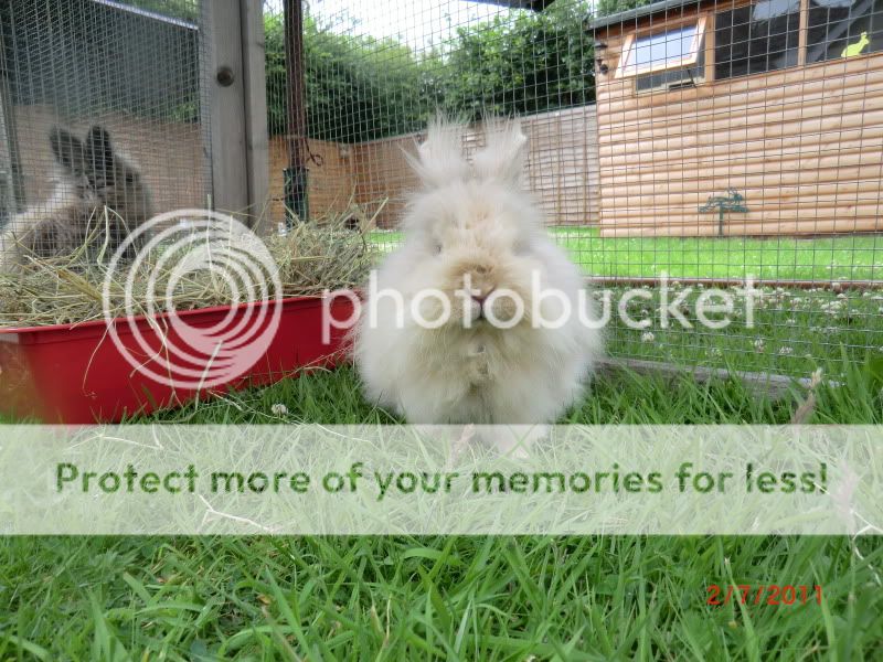 Jess meets Hairy Bunster Kenzo (her intended) 2-7-1102111