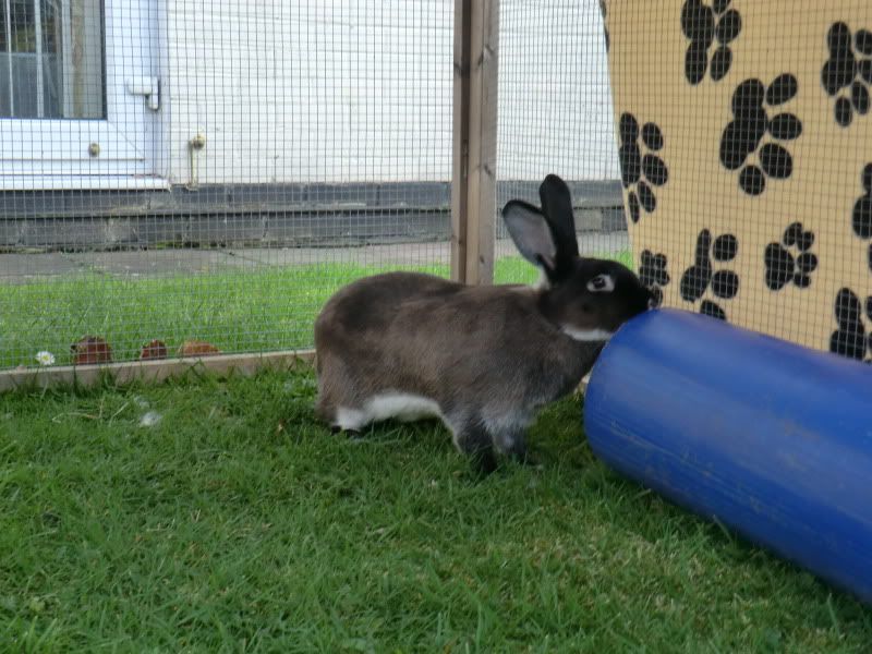 Katie & her Daughter Koko 22-4-11060