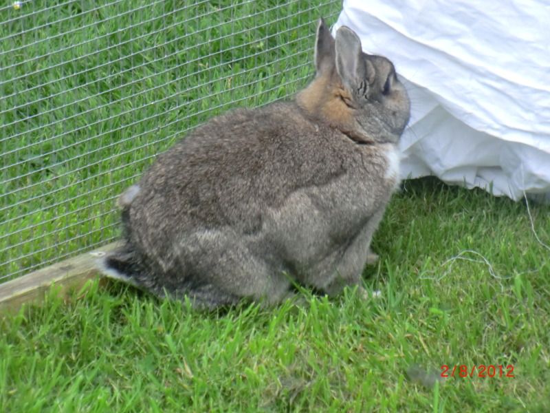 When Roly met Linnet . 2-8-12070