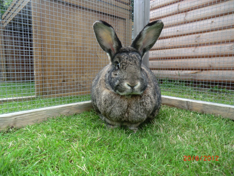 Tia in the Garden today. 20-6-12029