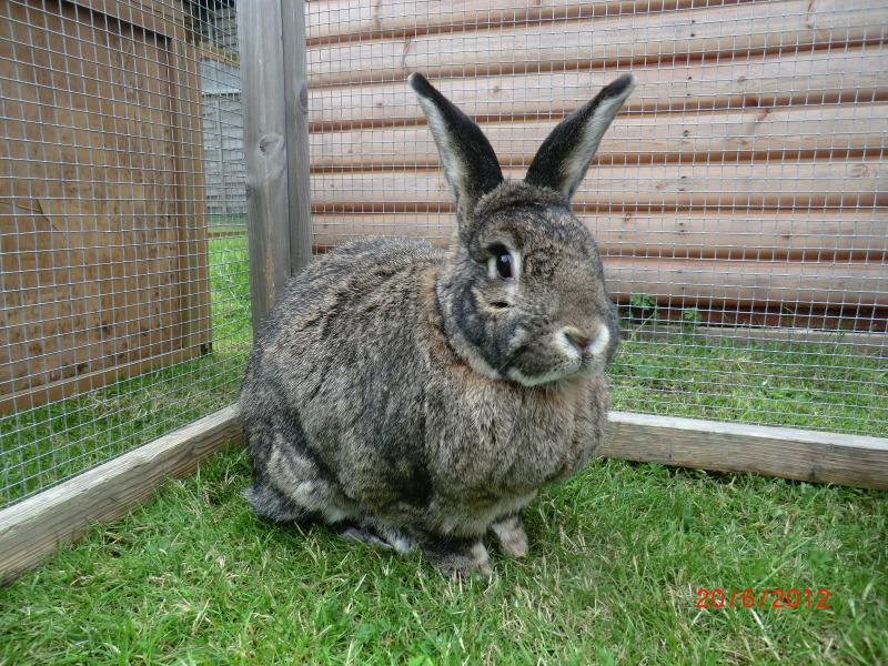 Tia in the Garden today. 20-6-12034