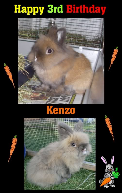 Happy Birthday Kenzo 3 years old Today. KenzoBirthday-1