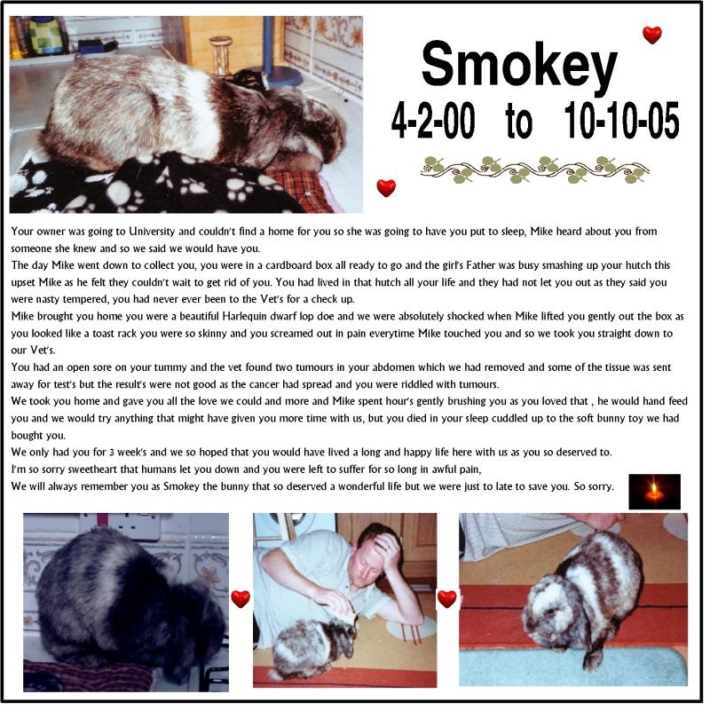 Remembering Smokey 4-2-00  to  10-10-05 SmokeyTribute-1