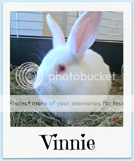 Names of the Mini Bun 8. ( Photo Heavy) Vinnie7-1