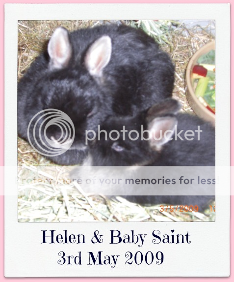 Happy 4th Gotcha Day, Helen & Baby Saint. HelenampBabySaint4thGotcha