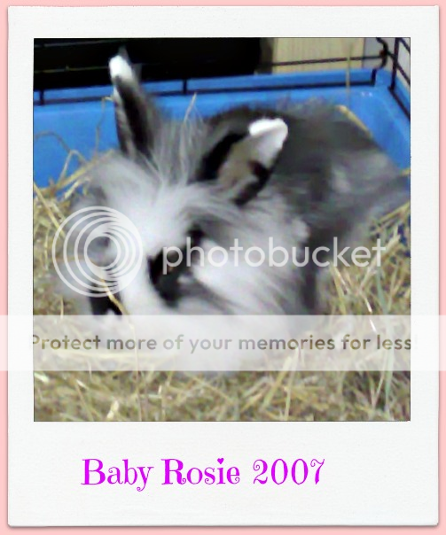Happy Birthday Rosie 6 Today! BabyRosie2007