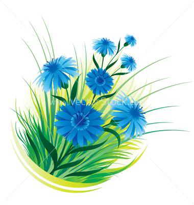 Veladet-i Nebi Gecesi Vectorstock-80819-cornflower-and-grass-vector