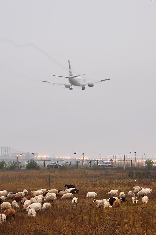 Aeroportul Bucuresti (Henri Coanda / Otopeni) - Noiembrie 2009 DSC_1823