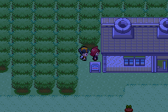 Pokémon Spirit Crystal is Back (HOTM of MAY Candidate) PokemonEmerald13