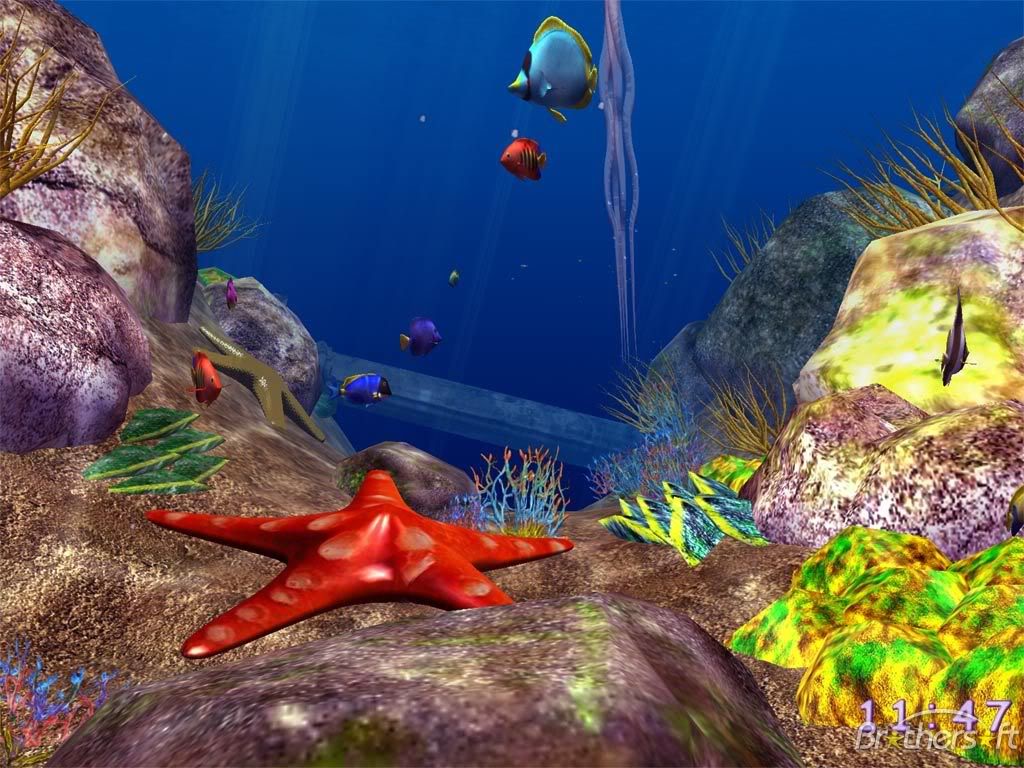 screensaver3D collections Under_the_sea_3d_screensaver