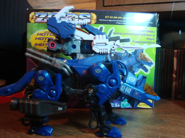 Command Striker Lindaly Custom DSC01735