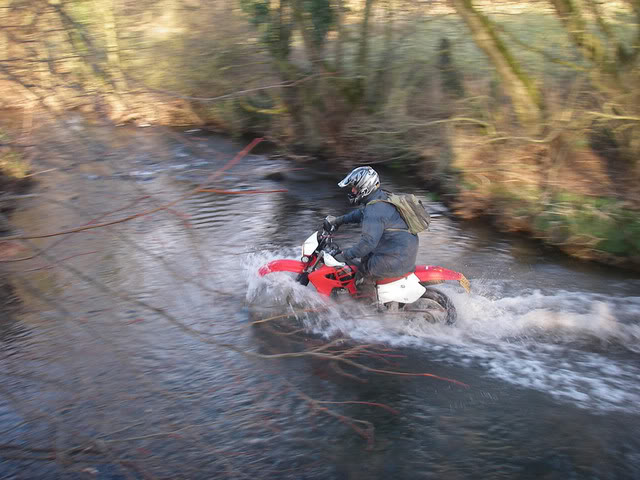 Cool XR650R Pix! F1bc8686