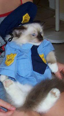   225_Cat_Police