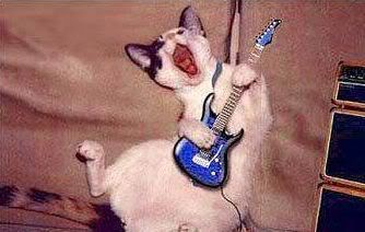   284Singing_Cat