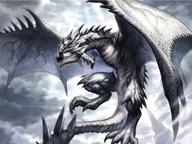 Los wyverns o bestias Rathalos-3