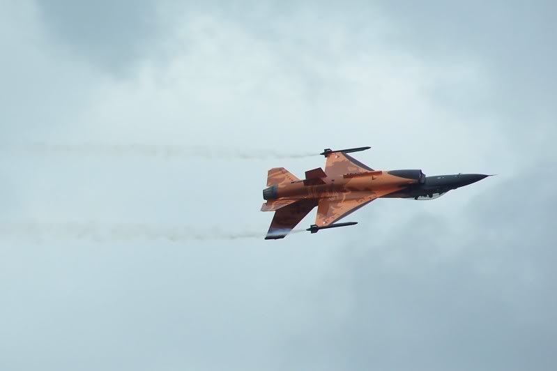 Tremblers RIAT 100_4022