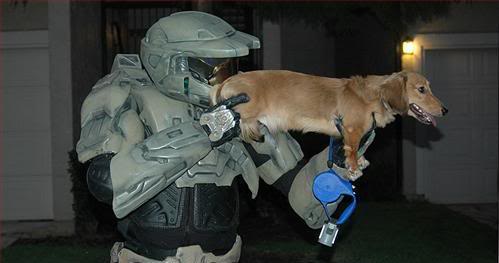 Caption Game Funny-pictures-halo-dog-pew