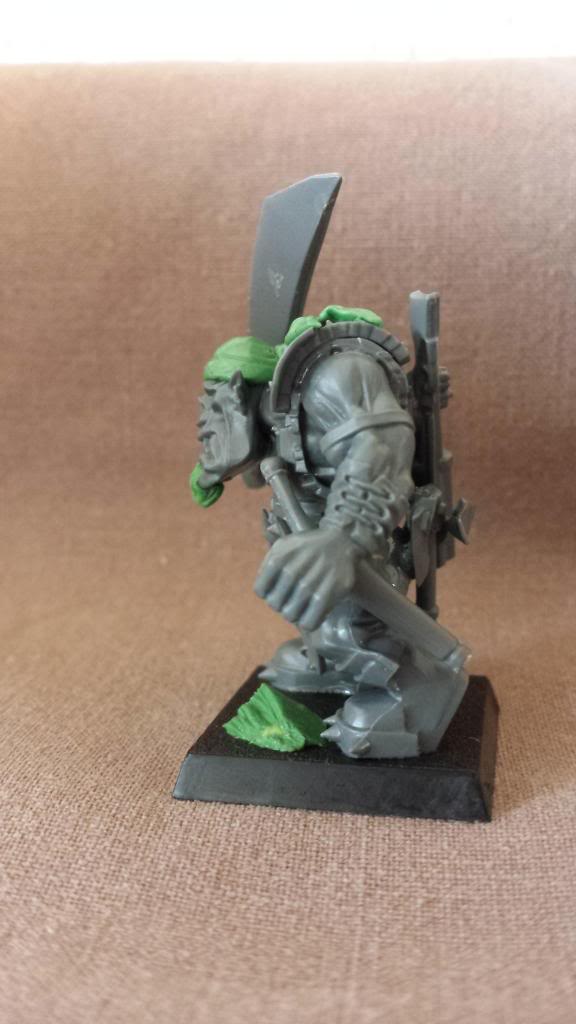 WarbossKurgan's Orc Pirates - Page 28 20140503_151629_zpsef049b83