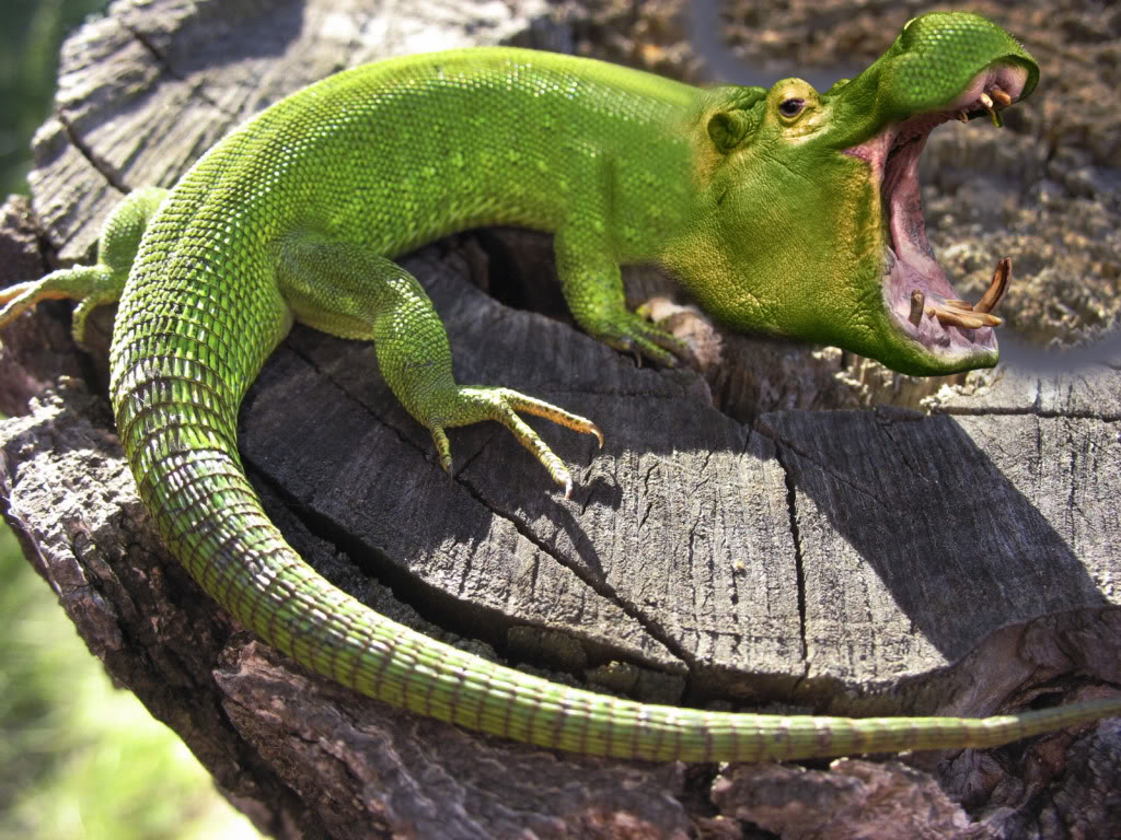 Nasi radovi :3 MorphingCreatures