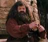 cabaña de hagrid