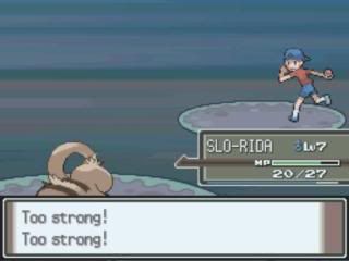 Pokemon Platinum: Everybody's Got Something to Hide Except Me and My Sloth MyZoom2009-12-1620-34-37-73