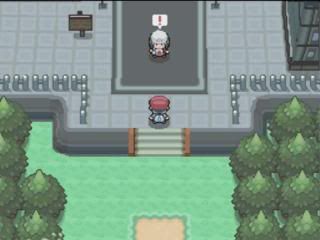 Pokemon Platinum: Everybody's Got Something to Hide Except Me and My Sloth MyZoom2009-12-1816-46-25-17