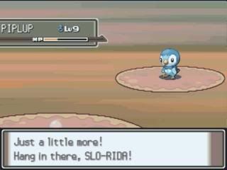 Pokemon Platinum: Everybody's Got Something to Hide Except Me and My Sloth - Page 2 MyZoom2009-12-1817-07-26-79