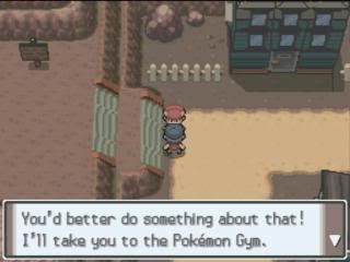 Pokemon Platinum: Everybody's Got Something to Hide Except Me and My Sloth - Page 2 MyZoom2009-12-2217-07-42-51