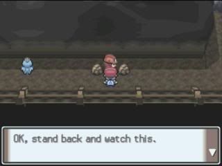 Pokemon Platinum: Everybody's Got Something to Hide Except Me and My Sloth - Page 2 MyZoom2009-12-2217-42-33-21