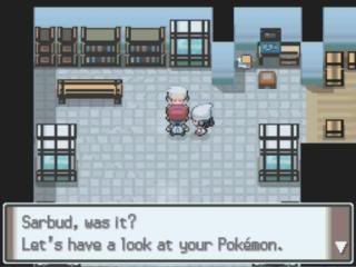 Pokemon Platinum: Everybody's Got Something to Hide Except Me and My Sloth MyZoom2009-12-1620-22-58-90